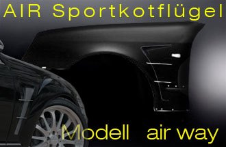 01_air way_Sportkotfluegel_S-Klasse_W220_goeckel-0.jpg